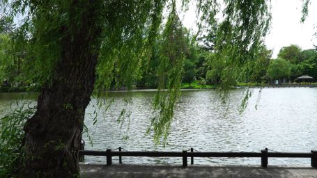 �V�_�����i�M