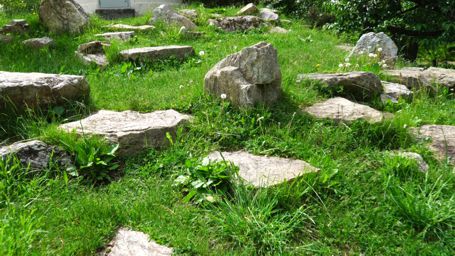 ���V����ւ̍�