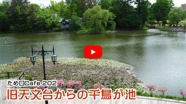 ���V���䂩��̐璹���r