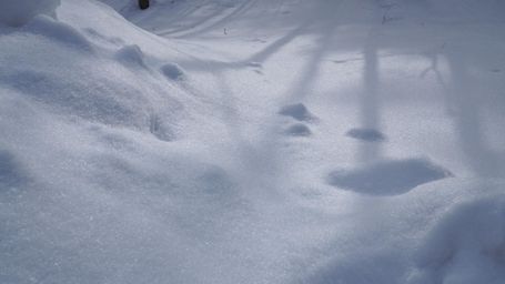 雪の造形