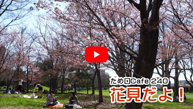 常磐公園の花見