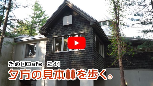 夕方の見本林を歩く
