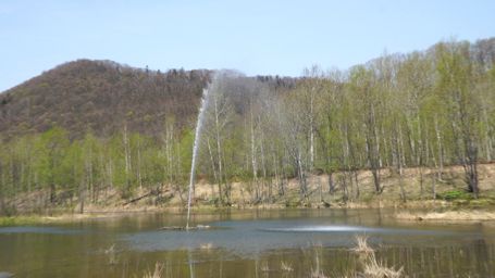 ���F�̕���