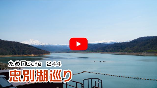 ���ʌΏ���