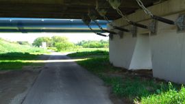 ���_���̉�