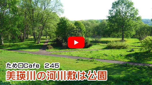 ���l��̉͐�~�͌���