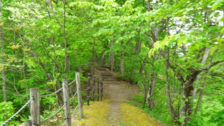 �ѓ����s��