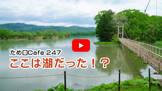 �㈰�ʌ���