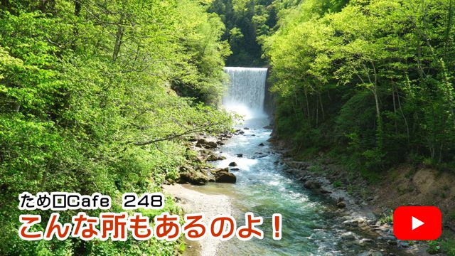 ����ȏ�������̂�I