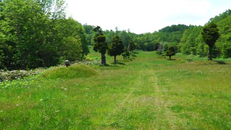 �܂�����