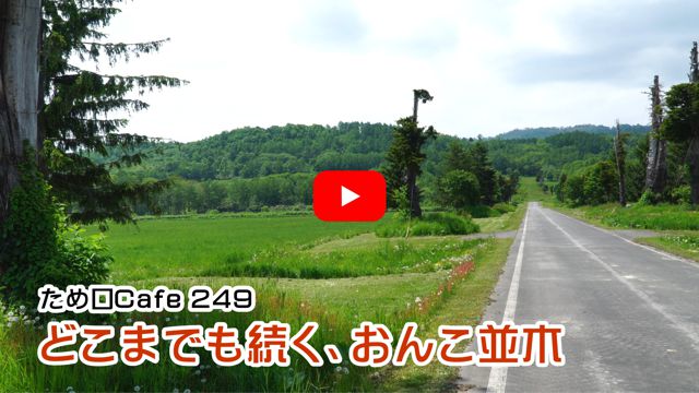 ���񂱕���