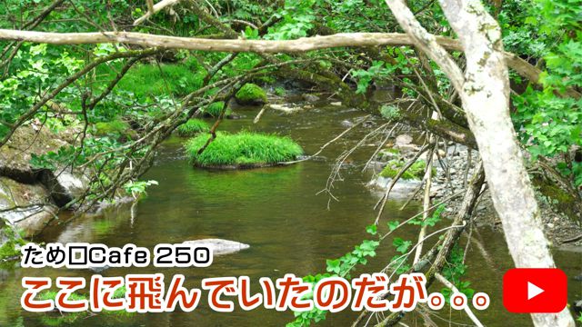 �����ɔ��ł����̂����B�B�B