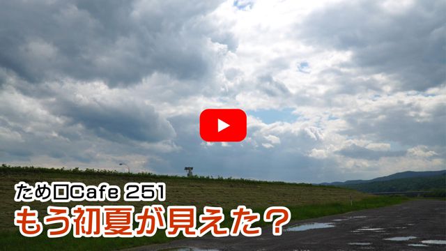 �������Ă��������H