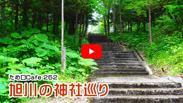 ����̐_�Џ���