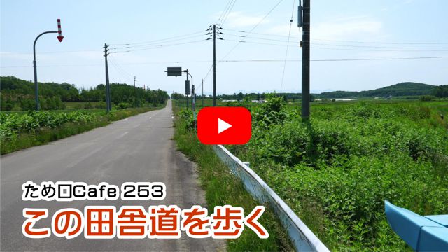 ���̓c�ɓ������