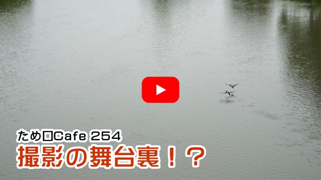 �B�e�̕��䗠!?