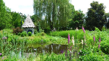 ���t�@�[��