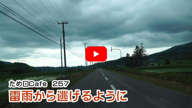 雷雨から逃げるように