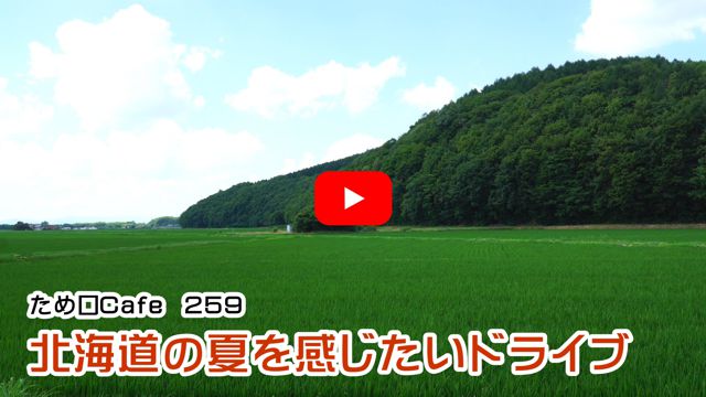 北海道の夏を感じたいドライブ