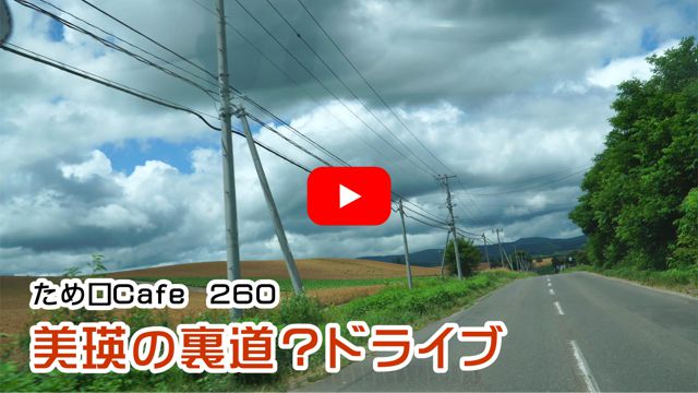 ���l�̗����H�h���C�u