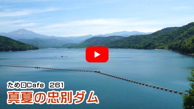 �^�Ă̒��ʃ_��