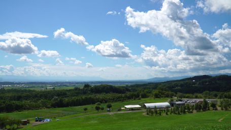 �p�[�N�S���t��