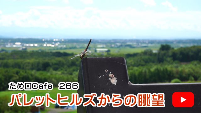 �p���b�g�q���Y����̒��]