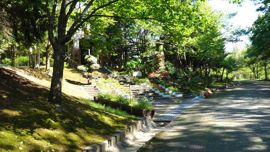 �_�y������