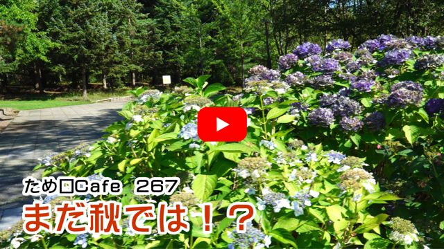 �܂��H�ł́I�H