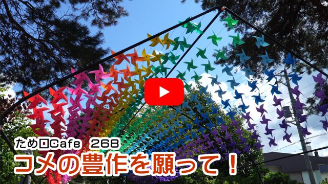 �R���̖L�������āI