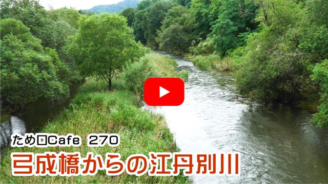 �|��������̍]�O�ʐ�