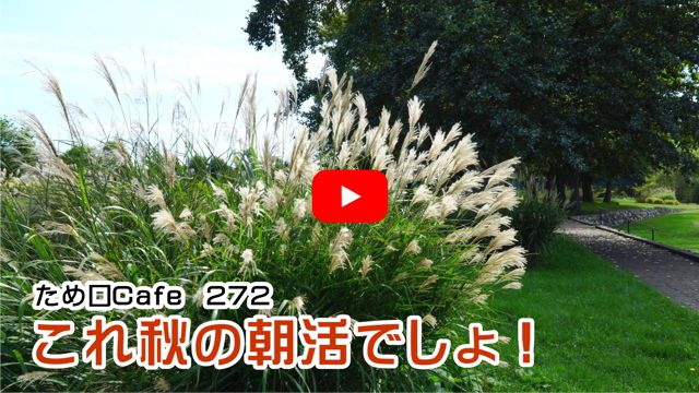 これ秋の朝活でしょ!