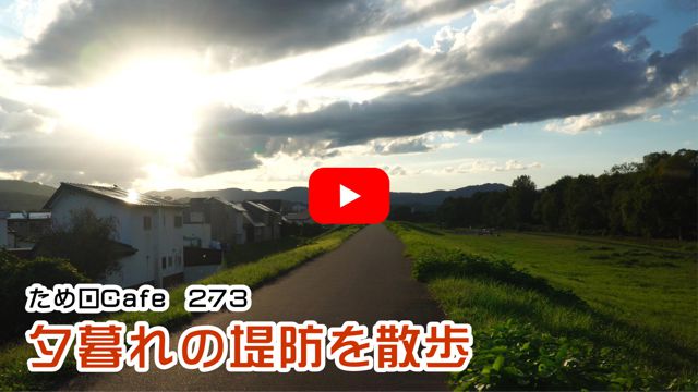 �[���̒�h���U��