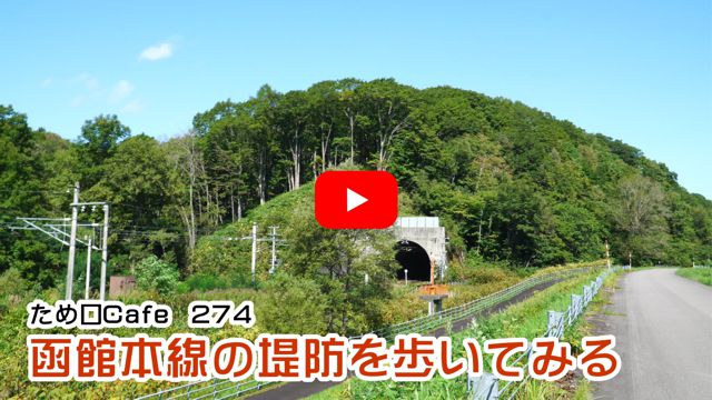 ���ٖ{���̒�h������Ă݂�