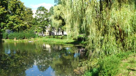 �������