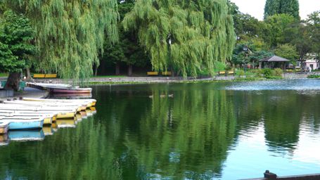 �݂��{�[�g