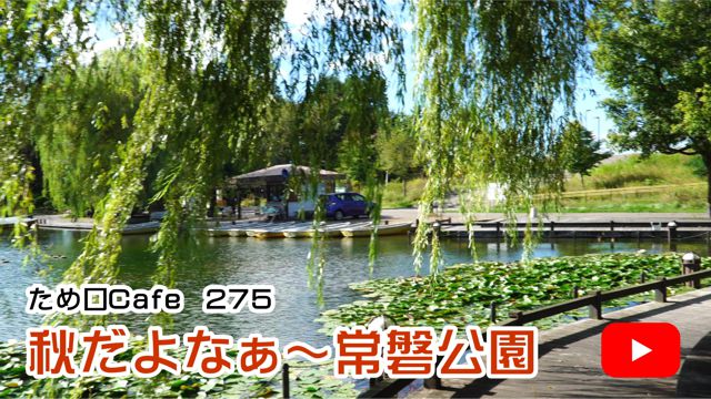 �H����Ȃ��`��֌���