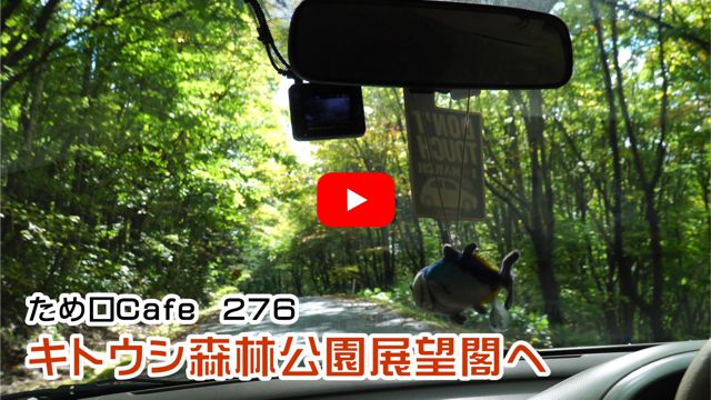 �L�g�E�V�X�ь����W�]�t��