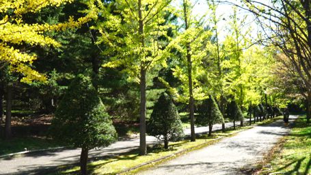 �C�`���E����