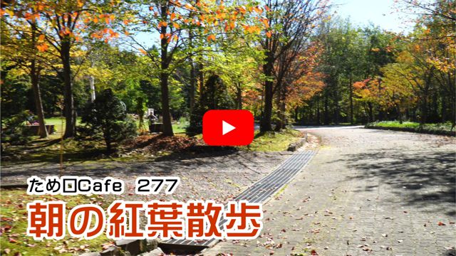 �H�̍g�t�U��