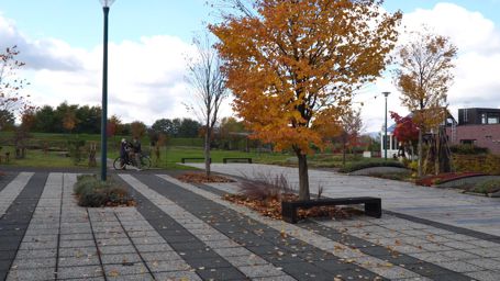 �k�ʓs�K�[�f��