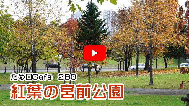 �g�t�̋{�O����