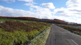 �A���̋u��