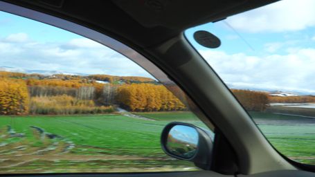 �Ђ�`���ꂢ