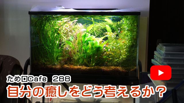 �����̖������ǂ��l���邩�H