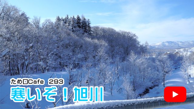 �������I����