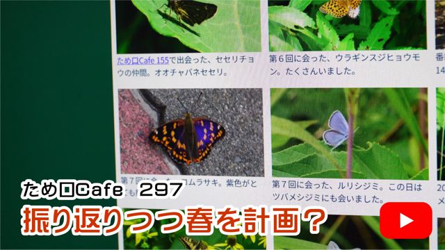 �U��Ԃ�t���v��