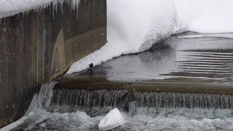 �J���K���X�ɏo���