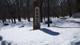 �_�y������