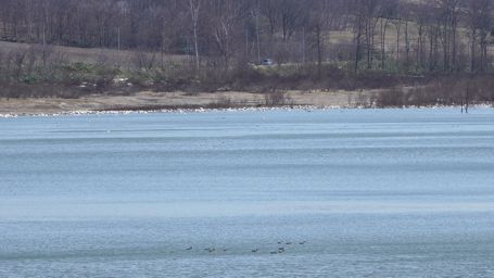 �����ɂ����ς�